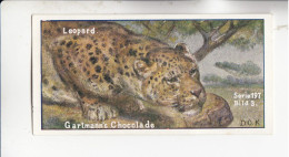 Gartmann Raubtiere Der Leopard   Serie 197 #3 Von 1907 - Autres & Non Classés