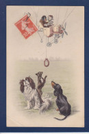 CPA Chien Aviation Teckel Dackel Dachshund Circulée Vienne Viennoise Ulreich - Dogs