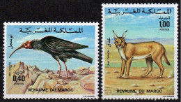 MAROC MOROCCO 1975 - 2v - MNH - Faune Marocaine - Ibis Chauve - Lynx - Birds - Animals - Fauna Lince Luchs - Altri & Non Classificati