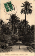 CPA AK ALGER Jardin D'Essai - Palmiers ALGERIA (1388725) - Algeri