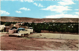 CPA AK GHARDAIA La Palmeraie Et Les Puits De La Ville ALGERIA (1388629) - Ghardaia