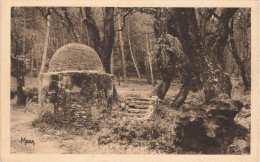 TAMARIS SUR MER : SOUS BOIS DE LA ROUVE ; VIEUX PUITS DIT DE JACOB - Tamaris