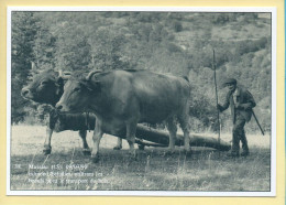 Edmond ECHALIER Utilisant Les Bœufs Pour Le Transport Du Bois (15) Massiac (Philippe CHMIELEWSKI) N° 38 – 750 Ex - Bauern