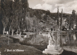 AD198 Campello Sul Clitunno (Perugia) - Fonti Sul Clitumno - Panorama / Non Viaggiata - Andere & Zonder Classificatie