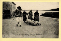 Départ Pour Le Marché / Cochons / Plougastel / REPRODUCTION - Street Merchants