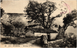 CPA AK Environs De BLIDA Marabout De Sidi-el-Ghrib ALGERIA (1389147) - Blida