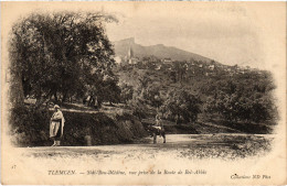 CPA AK TLEMCEN Sidi-Bou-Medine - Vue ALGERIA (1389843) - Tlemcen