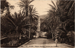 CPA AK ALGER Hopital Maillot - Avenue Des Palmiers ALGERIA (1389657) - Algerien