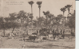 2418-226 Av 1905 N°462 Sénégal Pire Puits Dans La Forêt Fortier Photo Dakar  Retrait 18-05 - Senegal