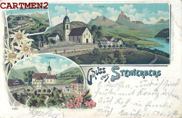 GRUSS AUS STEINERBERG SUISSE  - Other & Unclassified