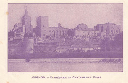 AVIGNON : CATHEDRALE ET CHATEAU DES PAPES - Avignon