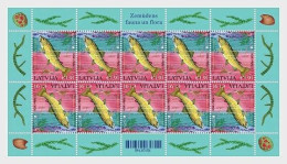 (!) Latvia Lettland Lettonie 2024 Europa CEPT  - Fish  MINI SHEET MNH - Lettonia