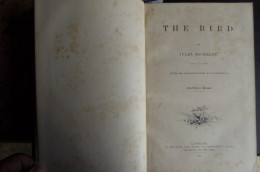 BOOK; THE BIRD By JULES MICHELET Collar BROKEN 1872 With 210 Illustrations By GIACOMELLI - Vita Selvaggia