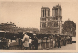 CT  PARIS  LES  BOUQUINISTES - Otros & Sin Clasificación