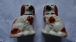 STAFFORDSHIRE DOGS PAIR 19TH CENTURY - Staffordshire