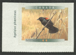 Canada Carouge Blackbird Adhesive MNH ** Neuf SC (C17-75gl) - Neufs
