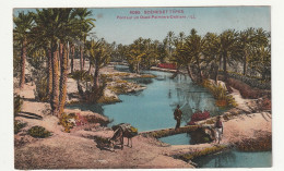 Algérie . Pont Sur Un Oued . Palmiers Dattiers - Scènes & Types