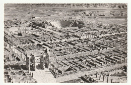 Afrique . Algérie . Timgad . Vue Aérienne Sur Les Ruines De La Ville Romaine N°3 A . - Other & Unclassified