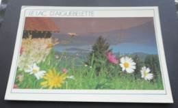 Le Lac D'Aiguebelette - L'été Près Du Lac ... - EDY Chambéry - Val D'Isere