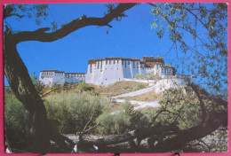 Visuel Très Peu Courant - Tibet - Chine - The Potala Palace - Jolis Timbres - Tibet