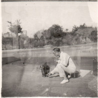 Francia 1933, Saint Cast Le Guildo, Uomo Da Cibo Ad Animale, Foto Epoca - Lieux