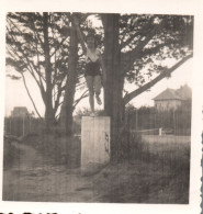 Francia 1933, Étables, La Nuova Statua, Foto Ironica, Vintage Photo - Lieux