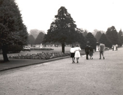Regno Unito 1960, Londra, Veduta Di Un Parco, Foto Epoca, Vintage Photo - Plaatsen