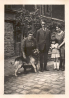 Francia 1929, Cane A Casa Di Madame Sestriére, Foto, Vintage Photo - Plaatsen