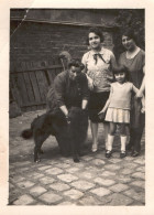 Francia 1929, Cane A Casa Di Madame Sestriére, Foto, Vintage Photo - Plaatsen