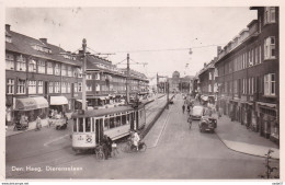 Netherlands Pays Bas Den Haag Dierenselaan Tramway 1953 - Tramways