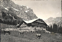 11901510 Truebsee OW Restaurant Pension Untertruebsee Kuehe Engelberg - Otros & Sin Clasificación