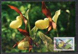 ROMANIA 1987 FLORA AND FAUNA FLOWERS CYPRIPEDIUM CALCEOLUS FLOWER 1L MAXI MAXIMUM CARD - Maximumkaarten