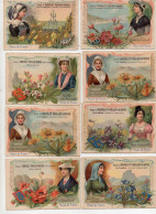 Lot De 10 Chromos Chocolat Poulain Fleurs De France - Poulain