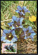 ROMANIA 1987 FLORA AND FAUNA FLOWERS GENTIANA EXCISA FLOWER 1L MAXI MAXIMUM CARD - Maximum Cards & Covers