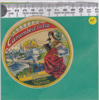 C1233 FROMAGE PETIT CAMEMBERT LE BARON DUTACQ CORBON CALVADOS LE 1900 TOUR EIFFEL - Quesos