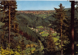 FREUDENSTADT Im Schwarzwald - Blick Vom Friedrichstal - Freudenstadt