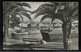 SANARY Coni Du Port ( Quai Esménard ) ** Belle Carte Dentelée Neutre **Ed Aris N°266 (9x14cm) - Sanary-sur-Mer