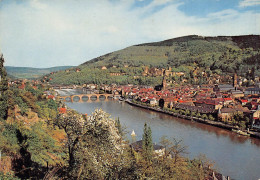 Heidelberg - Blick Vom Philosophenweg - Heidelberg