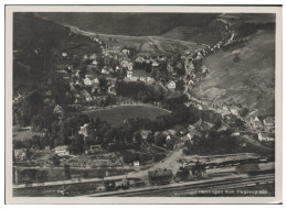 MW14146/ Herrlingen Foto Seltenes Strähle Luftbild 30er Jahre  - Sonstige & Ohne Zuordnung