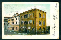 BF167 BELLUNO PALAZZO MUNICIPALE 1904 - Belluno