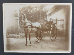 Photo Ancienne  Grand CDV Enfant Dans Une Calèche Cheval - Andere & Zonder Classificatie