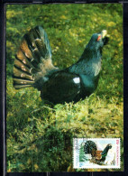 ROMANIA 1986 FLORA AND FAUNA ANIMALS TETRAO UROGALLUS COCK ROOSTER GROUSE ANIMAL 3L MAXI MAXIMUM CARD - Maximum Cards & Covers