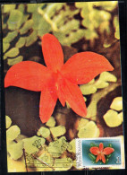 ROMANIA 1988 FLORA FLOWERS ORCHIDS SOPHRONITIS COCCINEA FLOWER ORCHID 1L MAXI MAXIMUM CARD - Maximumkaarten