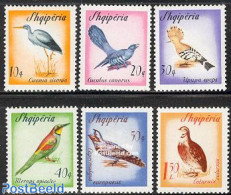 Albania 1965 Migrating Birds 6v, Mint NH, Nature - Birds - Storks - Albanie