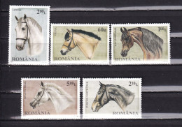 ROMANIA-2010-HORSES-MNH. - Fattoria