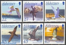 Alderney 2003 Migrating Birds 6v, Mint NH, Nature - Birds - Alderney