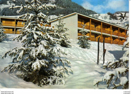 74 PRAZ SUR ARLY Vers Megève VVF N°6 Vue Générale Skis Plantés VOIR DOS - Megève