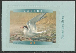 Canada Sterne Tern MNH ** Neuf SC (C18-91da) - Nuevos