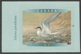 Canada Sterne Tern MNH ** Neuf SC (C18-91ga) - Ongebruikt