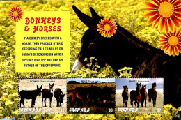 Grenada 2018 Donkeys And Horses 3v M/s, Mint NH, Nature - Animals (others & Mixed) - Horses - Andere & Zonder Classificatie